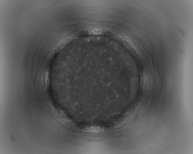 X0000113260598200910011409