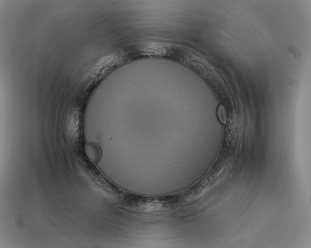 X0000113260600200910011409