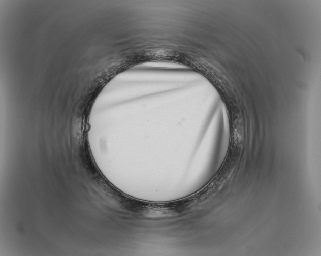 X0000113260605200910011409