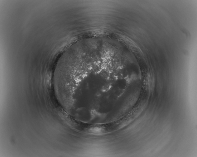 X0000113260610200910011409