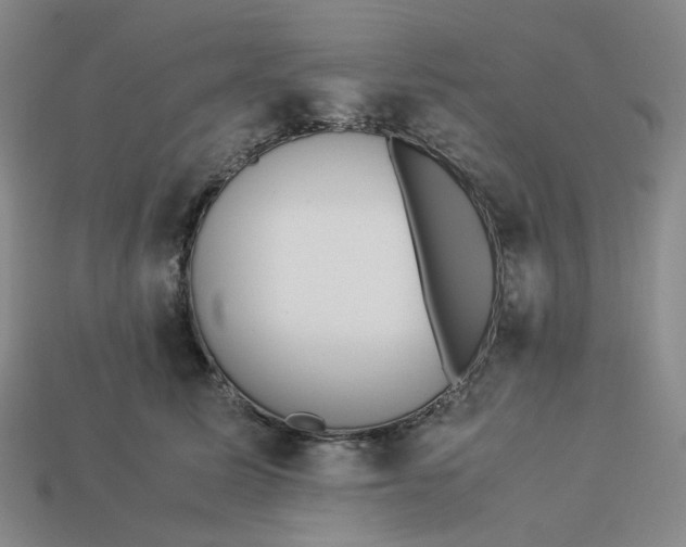 X0000113260611200910011409