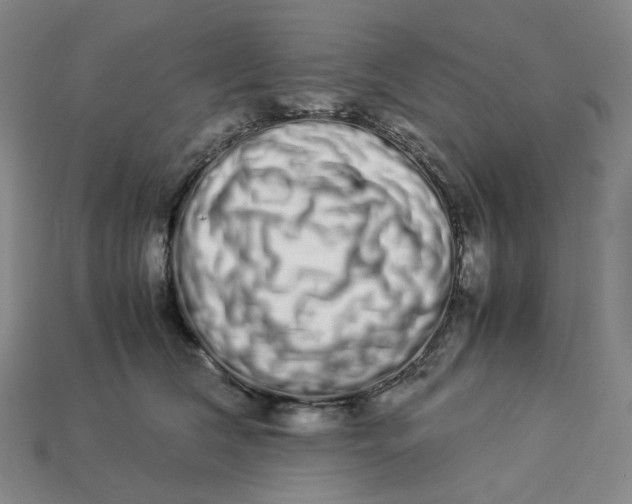 X0000113260612200910011409