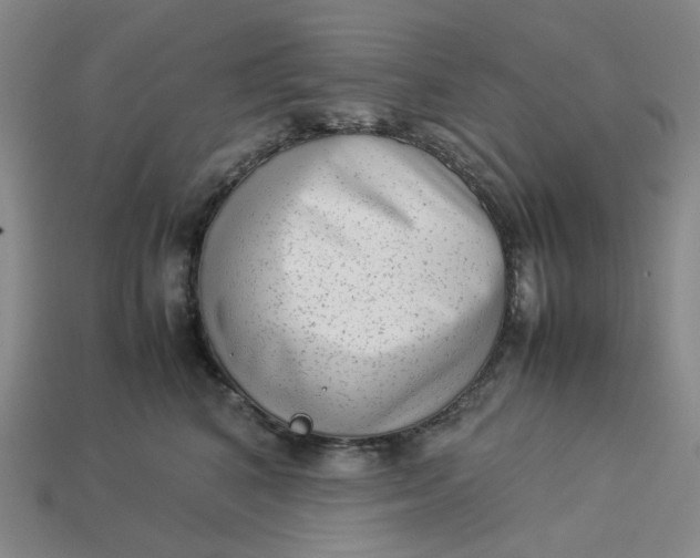 X0000113260616200910011409