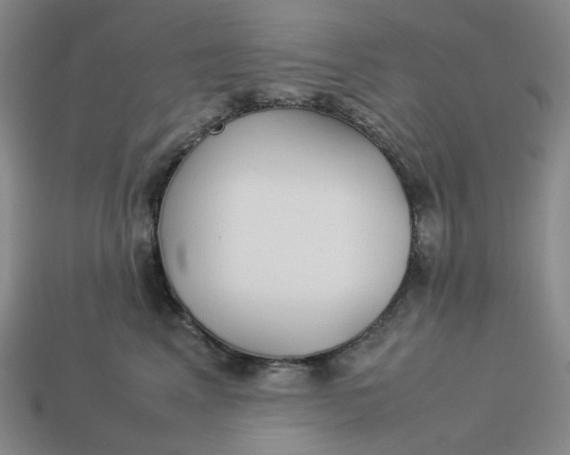 X0000113260617200910011409