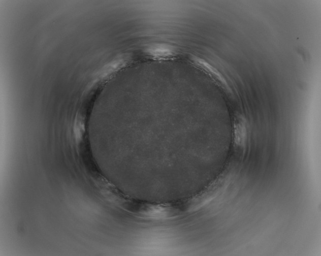 X0000113260618200910011409