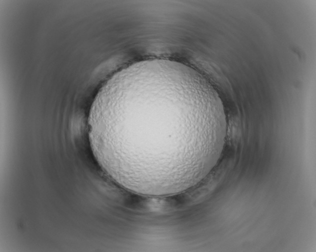 X0000113260623200910011408