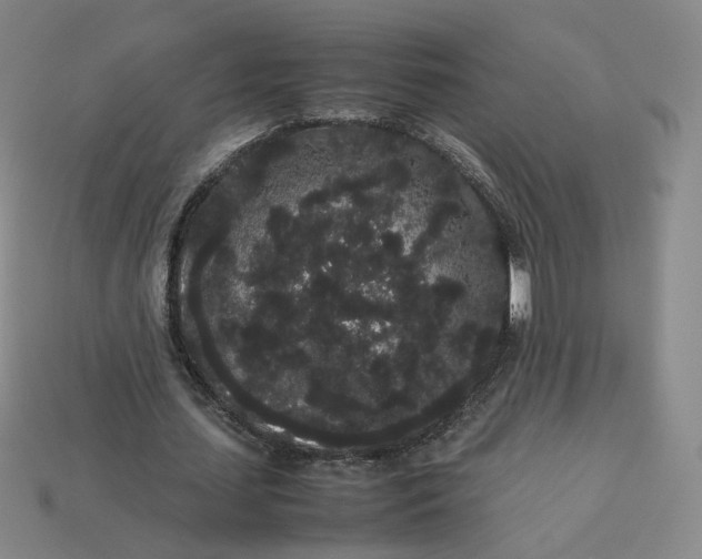 X0000113260627200910011408