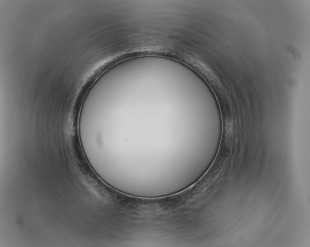 X0000113260628200910011408