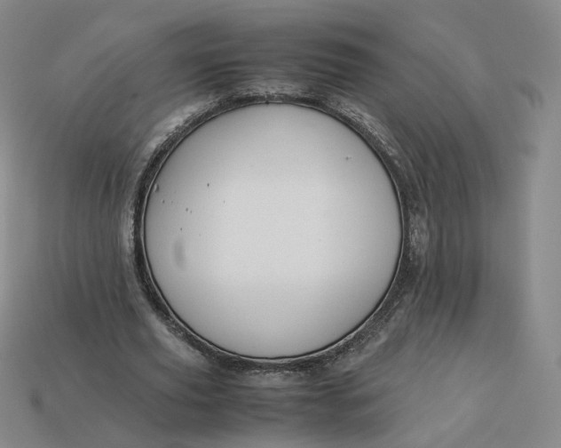 X0000113260629200910011408