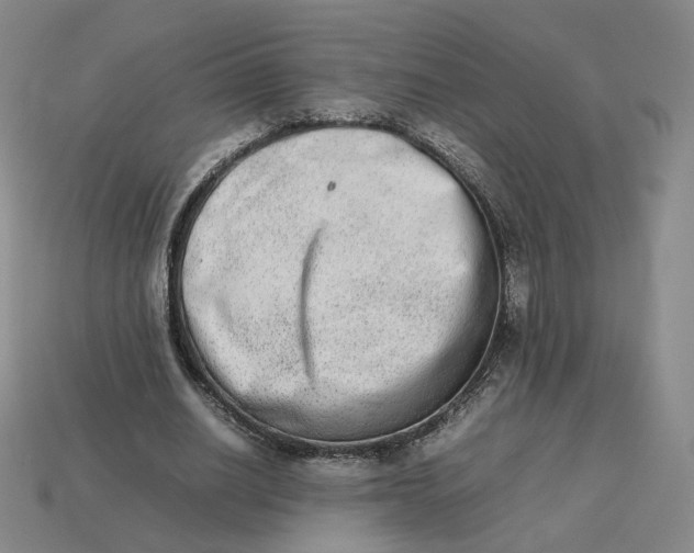 X0000113260630200910011408