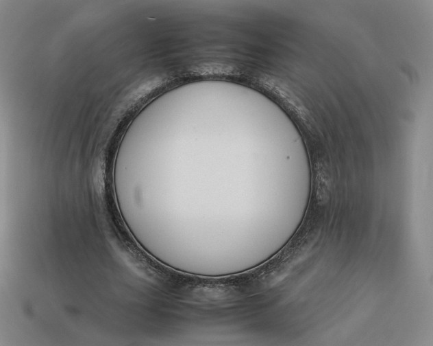 X0000113260631200910011408