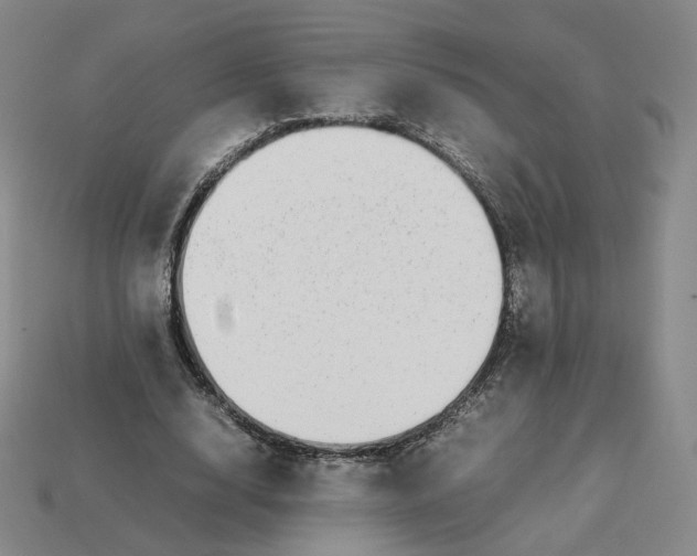 X0000113260632200910011408