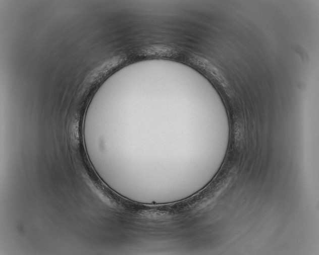 X0000113260633200910011408