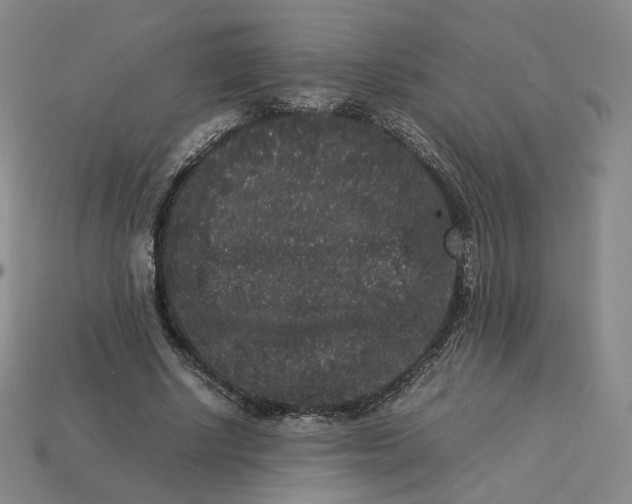 X0000113260634200910011408