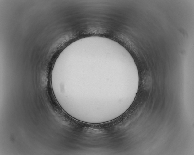 X0000113260635200910011408