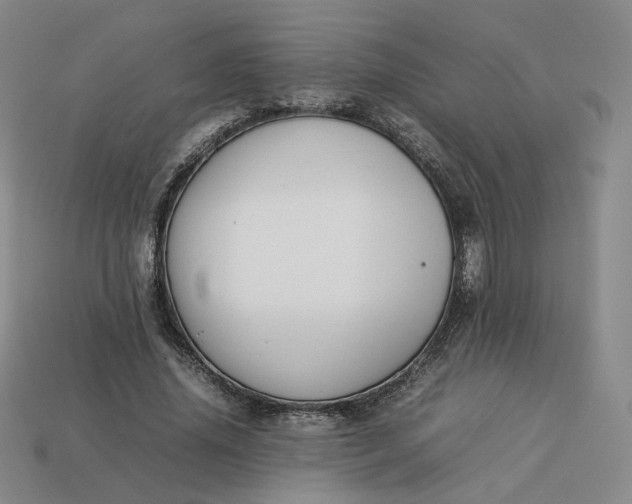 X0000113260636200910011408