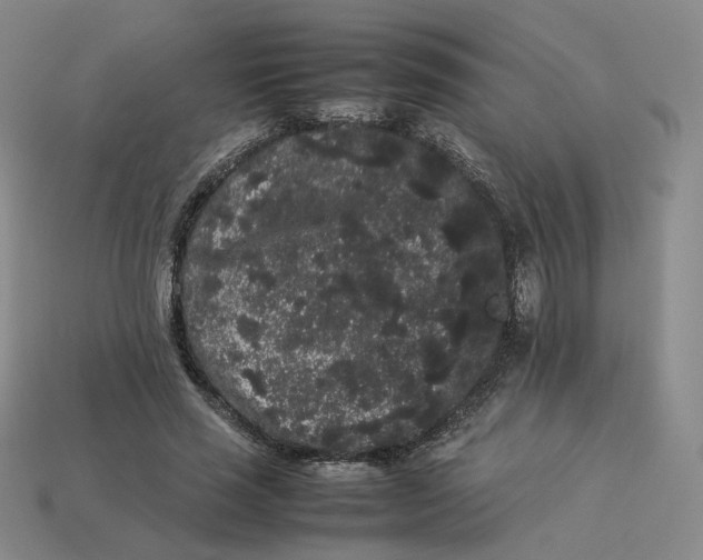 X0000113260637200910011408