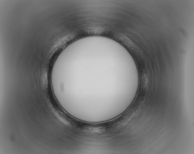 X0000113260638200910011408