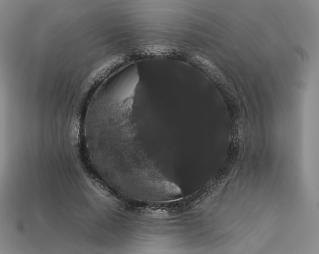 X0000113260640200910011408