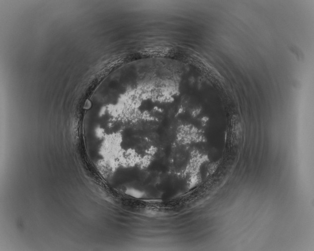 X0000113260641200910011408