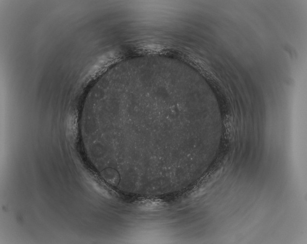 X0000113260642200910011408