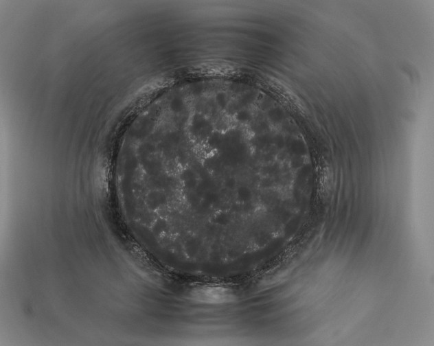 X0000113260643200910011408