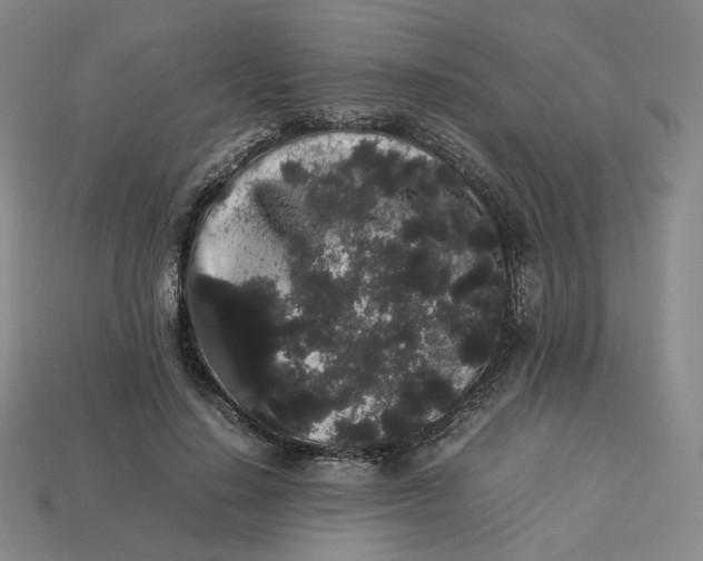 X0000113260644200910011408