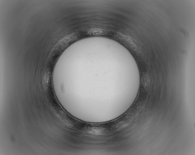 X0000113260645200910011408