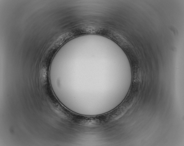 X0000113260646200910011408