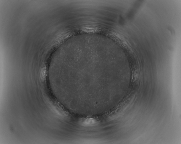 X0000113260647200910011408