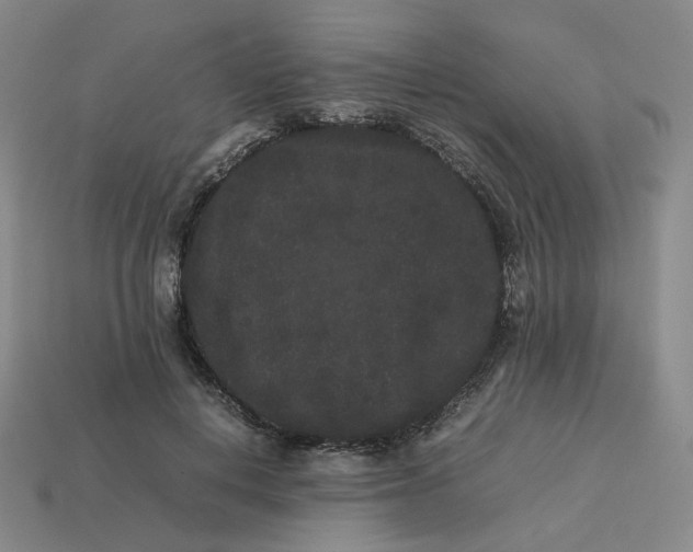 X0000113260648200910011408