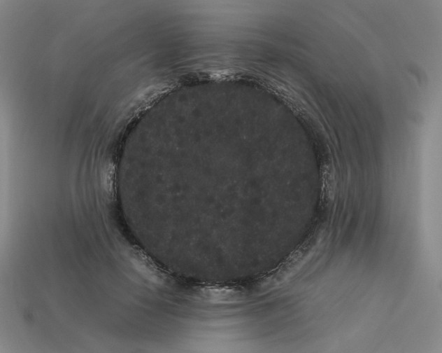 X0000113260650200910011408