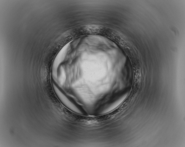 X0000113260651200910011408