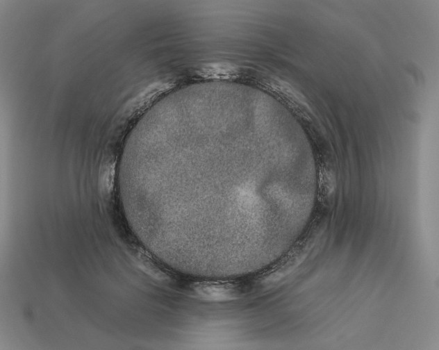 X0000113260652200910011408