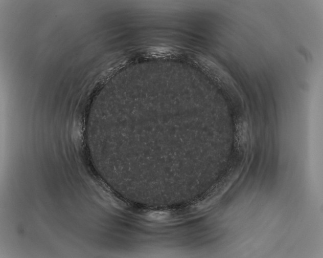 X0000113260653200910011408