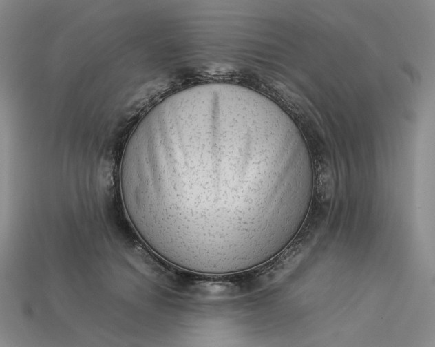 X0000113260654200910011408