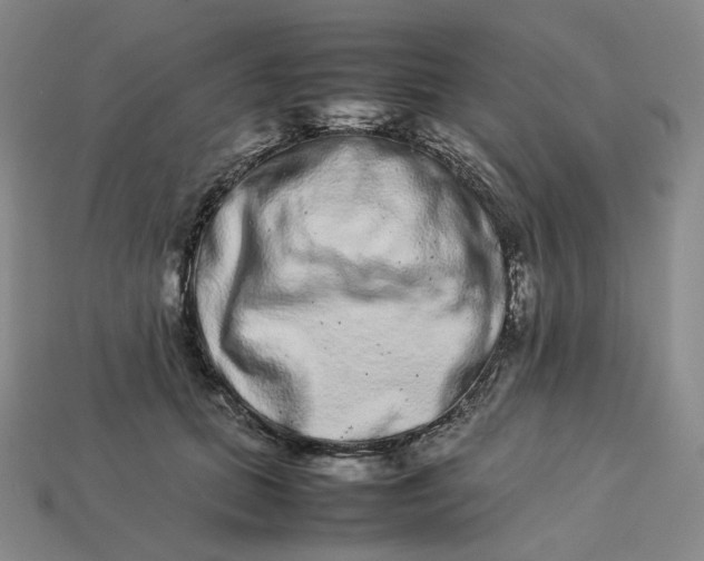 X0000113260655200910011408