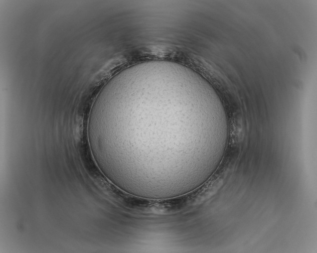 X0000113260656200910011408