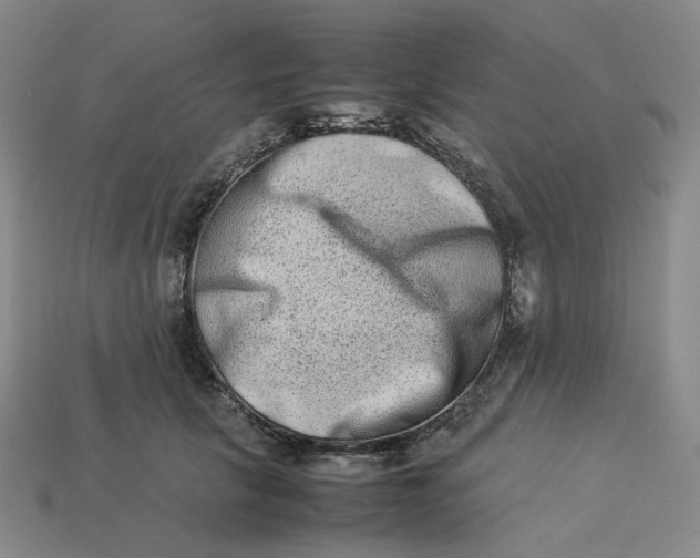 X0000113260657200910011408