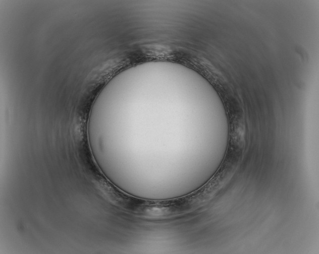 X0000113260658200910011408