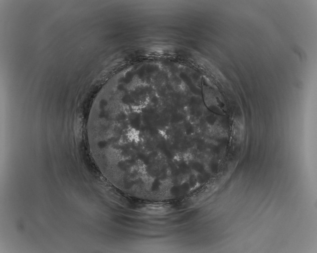 X0000113260659200910011408