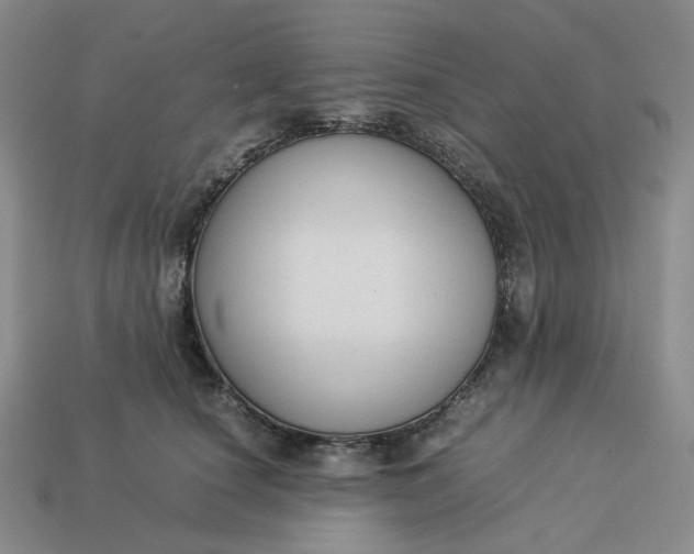 X0000113260660200910011408