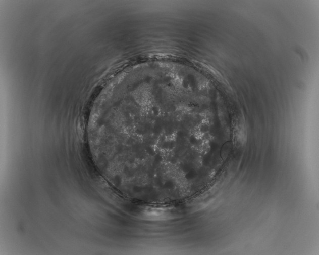 X0000113260661200910011408