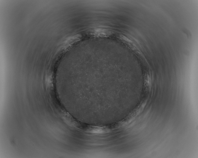 X0000113260663200910011408