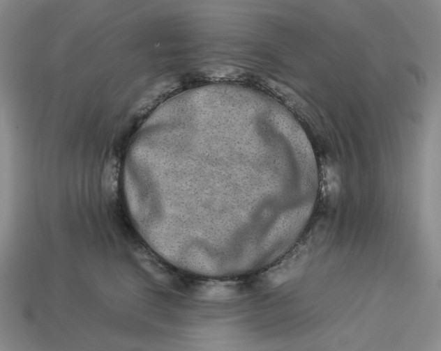 X0000113260664200910011408