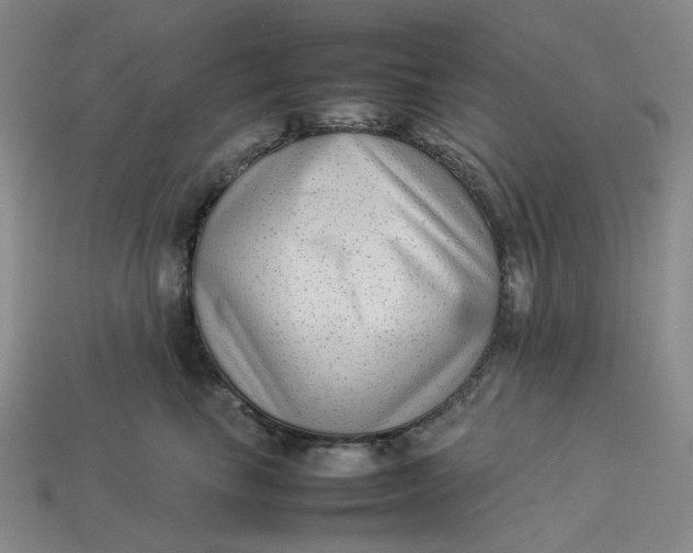 X0000113260665200910011408