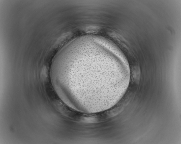 X0000113260667200910011408