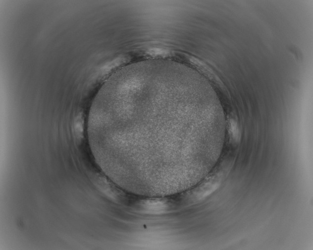 X0000113260668200910011408