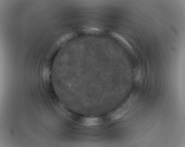 X0000113260669200910011408