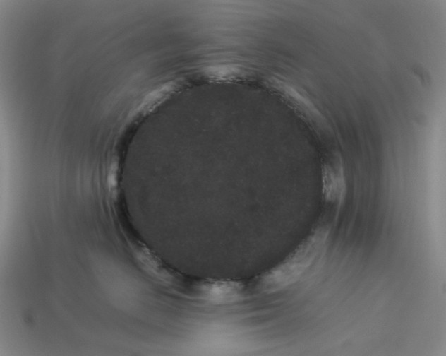 X0000113260670200910011408